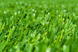 AstroTurf
